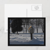 DSCF1314, endlich Frieden Postkarte (Vorne/Hinten)