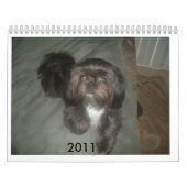 DSCF1937,                             2011 KALENDER (Titelbild)