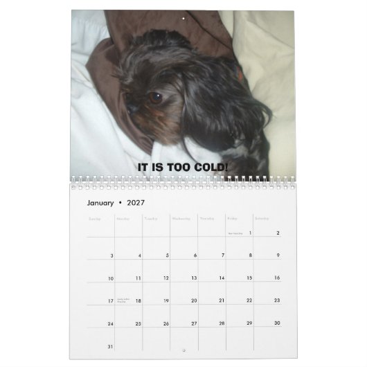 DSCF1937,                             2011 KALENDER (Jan 2027)