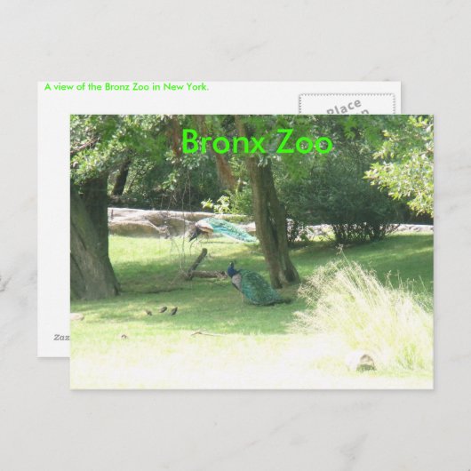 DSCF2638, Bronx Zoo Postkarte (Vorne/Hinten)