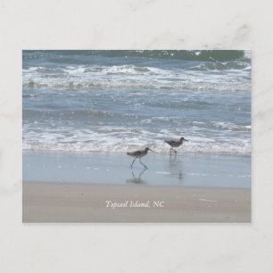 DSCF2949, Topsail Island, NC Postkarte