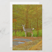 DSCF4041.JPG BRIEFPAPIER (Vorne/Hinten)