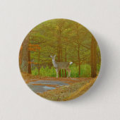 DSCF4041.JPG BUTTON (Vorderseite)