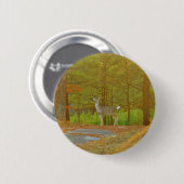 DSCF4041.JPG BUTTON (Vorne & Hinten)