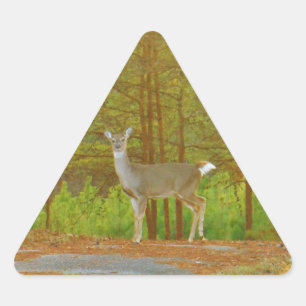 DSCF4041.JPG DREIECKIGER AUFKLEBER