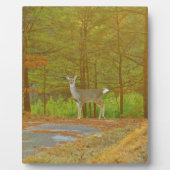 DSCF4041.JPG FOTOPLATTE (Vorderseite)