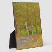 DSCF4041.JPG FOTOPLATTE (Seite)