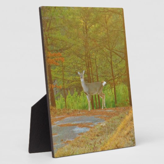 DSCF4041.JPG FOTOPLATTE (Seite)