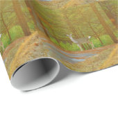 DSCF4041.JPG GESCHENKPAPIER (Rolleneckpunkt)