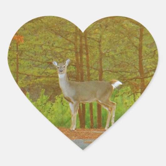 DSCF4041.JPG Herz-Aufkleber (Vorderseite)