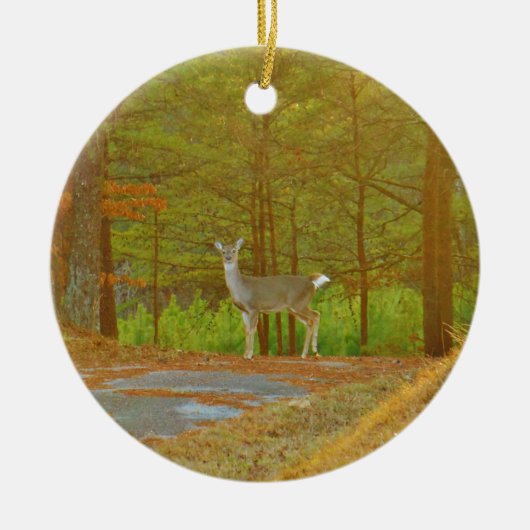 DSCF4041.JPG KERAMIK ORNAMENT (Vorne)