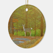 DSCF4041.JPG KERAMIK ORNAMENT (Links)