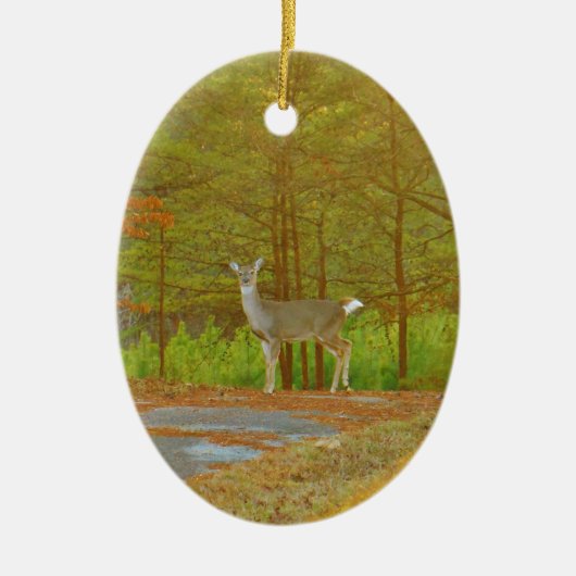 DSCF4041.JPG KERAMIK ORNAMENT (Vorne)