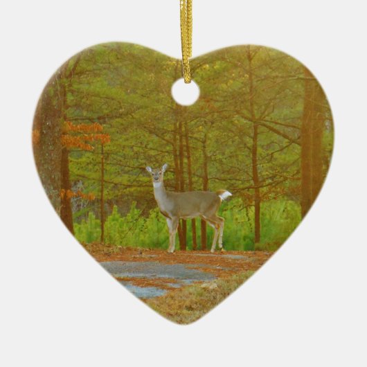 DSCF4041.JPG KERAMIKORNAMENT (Vorne)