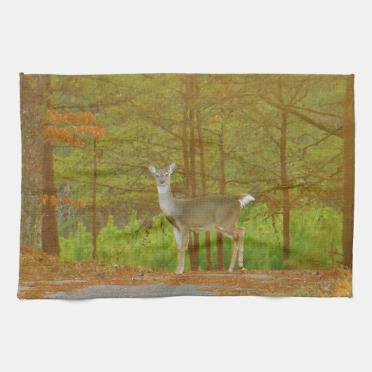 DSCF4041.JPG KÜCHENTUCH (Horizontal)