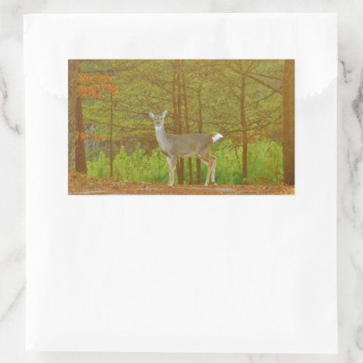 DSCF4041.JPG RECHTECKIGER AUFKLEBER (Tasche)