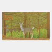 DSCF4041.JPG RECHTECKIGER AUFKLEBER (Vorderseite)