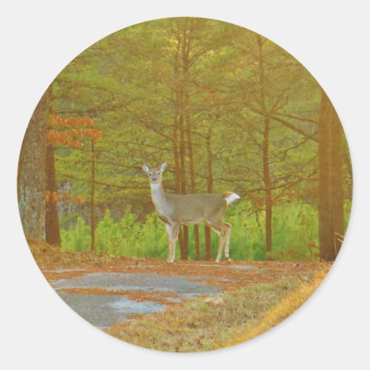 DSCF4041.JPG RUNDER AUFKLEBER (Vorderseite)