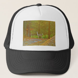 DSCF4041.JPG TRUCKERKAPPE