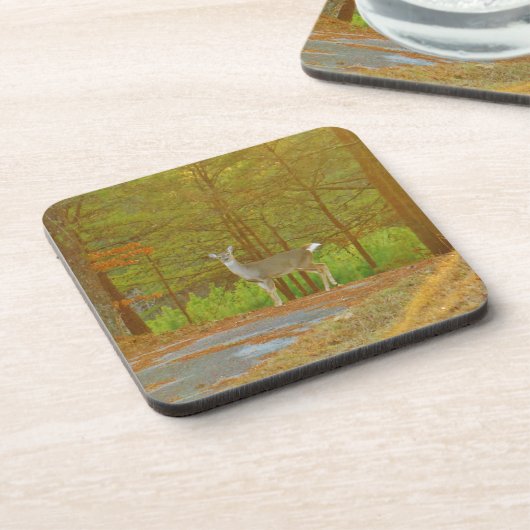 DSCF4041.JPG UNTERSETZER (Linke Seite)