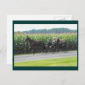 DSCF5964a Postkarte (Vorne/Hinten)