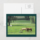 DSCF6147 POSTKARTE (Vorne/Hinten)