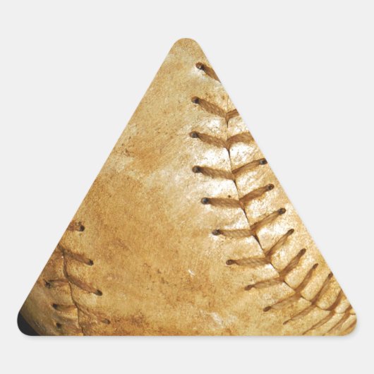 DSCF7523.JPG DREIECKIGER AUFKLEBER (Vorderseite)