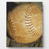 DSCF7523.JPG FOTOPLATTE (Vorderseite)