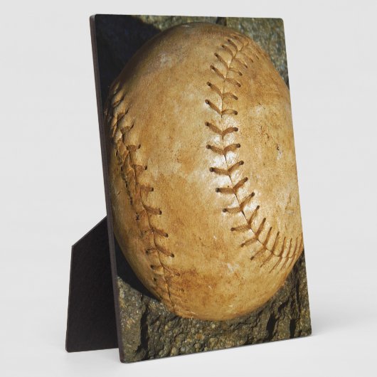 DSCF7523.JPG FOTOPLATTE (Seite)