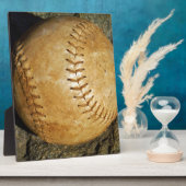 DSCF7523.JPG FOTOPLATTE (Seite)