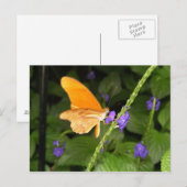 DSCF9699 POSTKARTE (Vorne/Hinten)