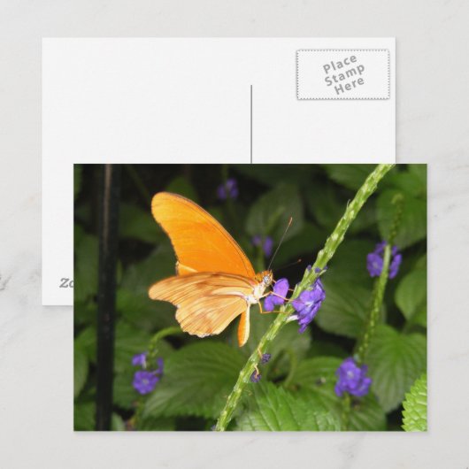 DSCF9699 POSTKARTE (Vorne/Hinten)