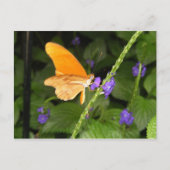 DSCF9699 POSTKARTE (Vorderseite)