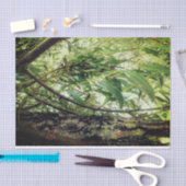 Dschungel-Bäume Seidenpapier (Handwerk)