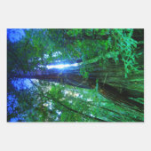 Dschungel Dekorative Dekoration Hochwertige WR Geschenkpapier Set (Vorderseite 3)