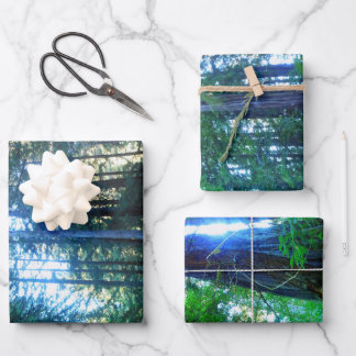 Dschungel Dekorative Dekoration Hochwertige WR Geschenkpapier Set