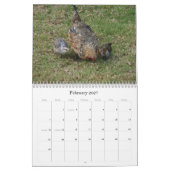 Dschungel-Hühner von Kalender Kauais 2010 (Feb 2027)