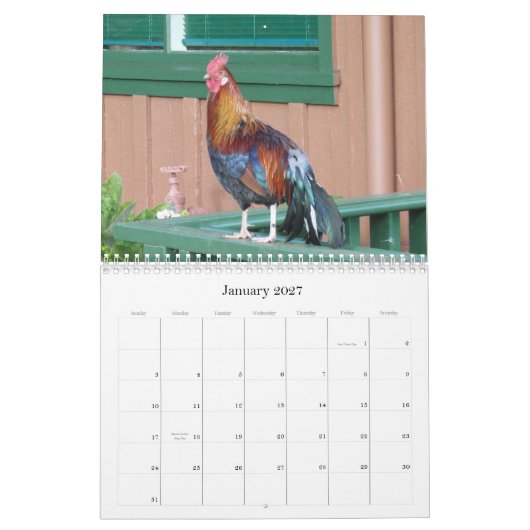 Dschungel-Hühner von Kalender Kauais 2010 (Jan 2027)