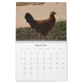 Dschungel-Hühner von Kalender Kauais 2010 (Mär 2026)