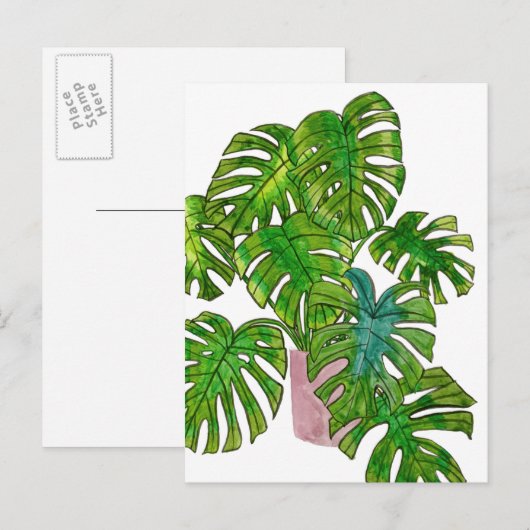 Dschungel I Postkarte (Vorne/Hinten)