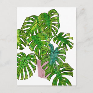 Dschungel I Postkarte
