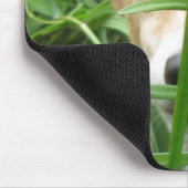 Dschungel Iggy Mousepad (Ecke)