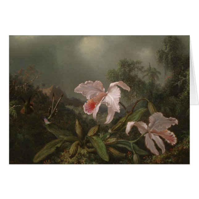 Dschungel-Orchideen und Kolibris (Vorderseite (Horizontal))