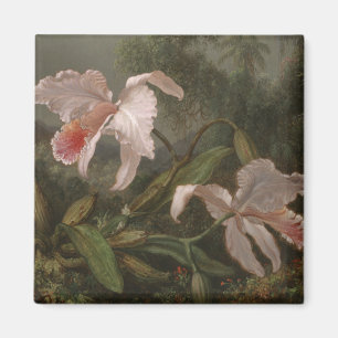 Dschungel-Orchideen und Kolibris Magnet