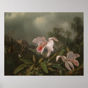 Dschungel-Orchideen und Kolibris Poster