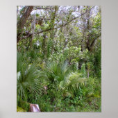 Dschungel Poster (Vorne)