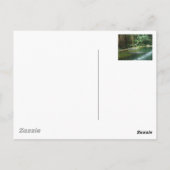 Dschungel Postkarte (Rückseite)