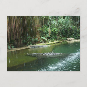 Dschungel Postkarte
