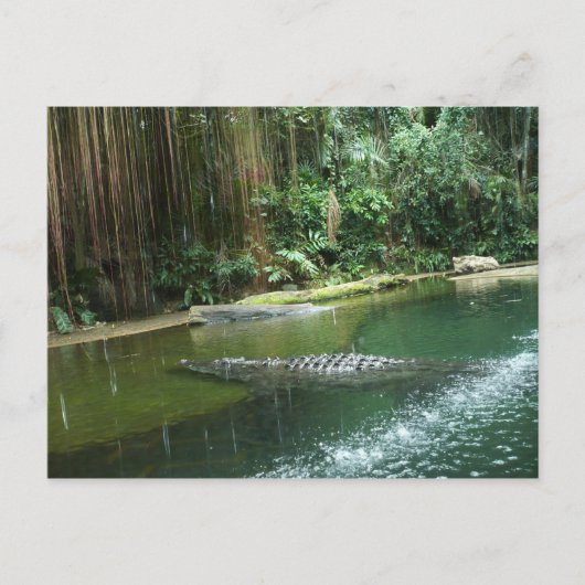 Dschungel Postkarte (Vorderseite)