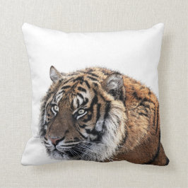 Dschungel-Tier-Foto des Tigers wildes Kissen